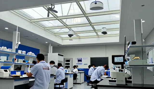 提升系统稳定性：培训方法在技术推广中的关键作用